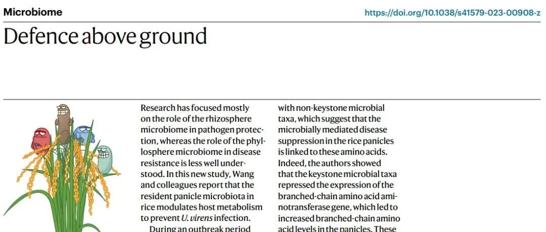 Nature Microbiology | 浙江大学王蒙岑等发现微生物组调控植物抗病防御新机制