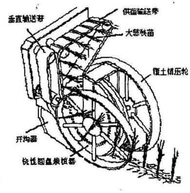 挠性圆盘式移栽机