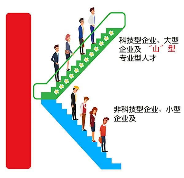 K型分化