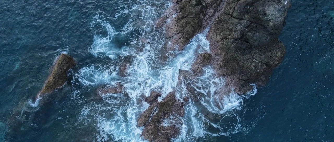 重温设计模式 --- 命令模式