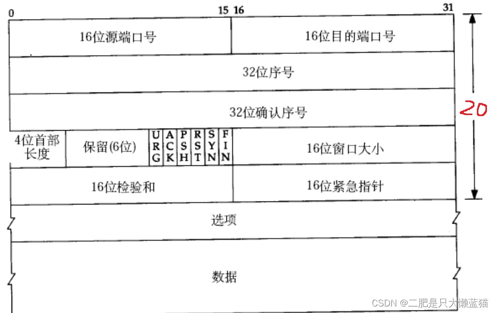传输层：TCP协议