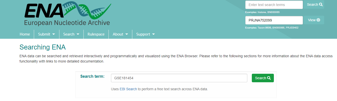 在ENA数据库中输入上述GSE编号