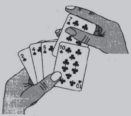 排序1:直接插入排序