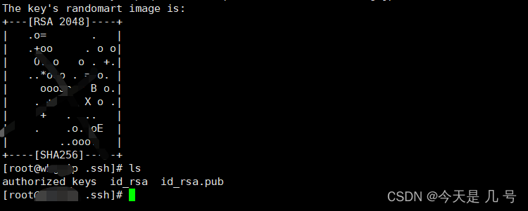 在这里插入图片描述