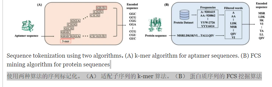 K-mer                                               FCS