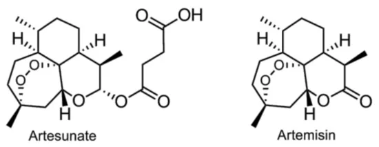 Figure 3. Artesunate and artemisinin.    图 3. 青蒿素和青蒿素衍生物。