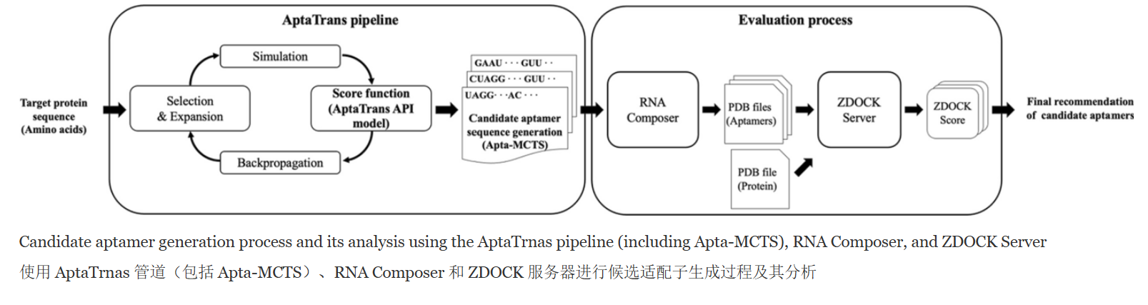 Apta Trans pipeline