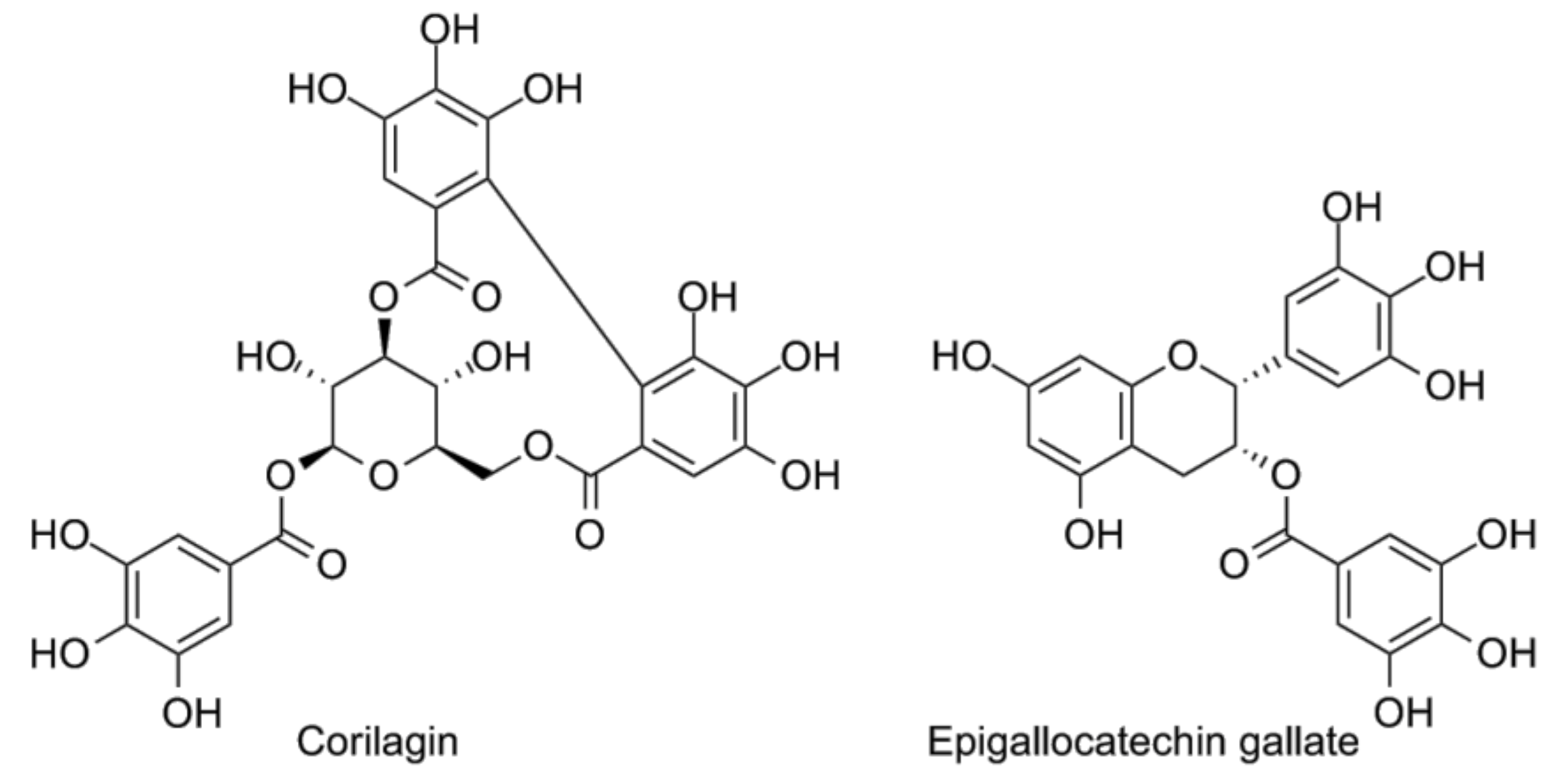 Figure 4. The polyphenols corilagin (left) and epigallocatechin gallate (right). 图 4. 多酚类化合物柯里拉果苷（左）和表儿茶素没食子酸酯（右）。