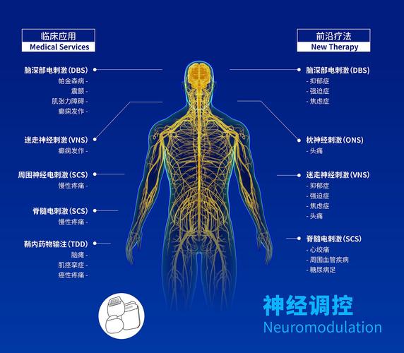 音乐与神经