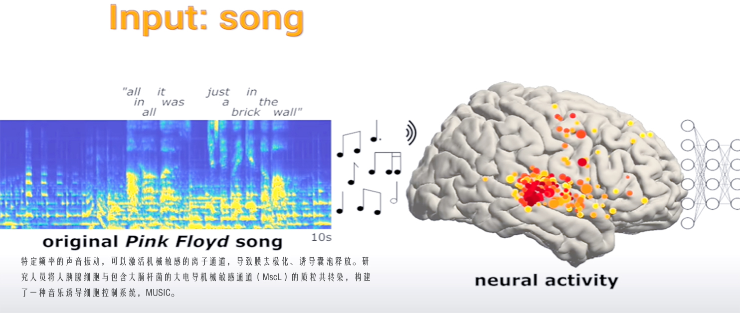 多感官刺激-听觉刺激