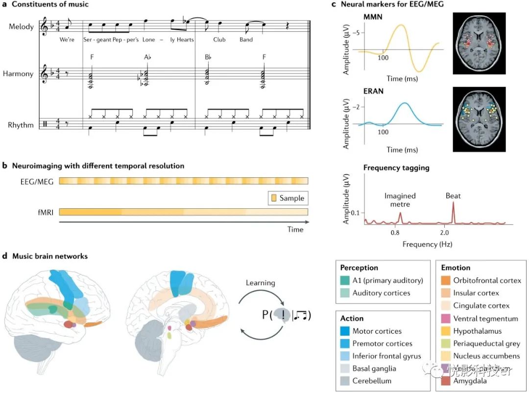 大脑中的音乐-听音即疗愈