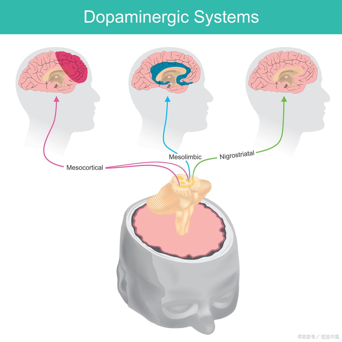 为什么音乐可以塑造我们的记忆?