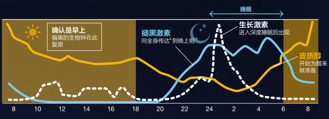 Nature睡眠子刊：&ldquo;需要睡觉&rdquo;的根本原因找到了