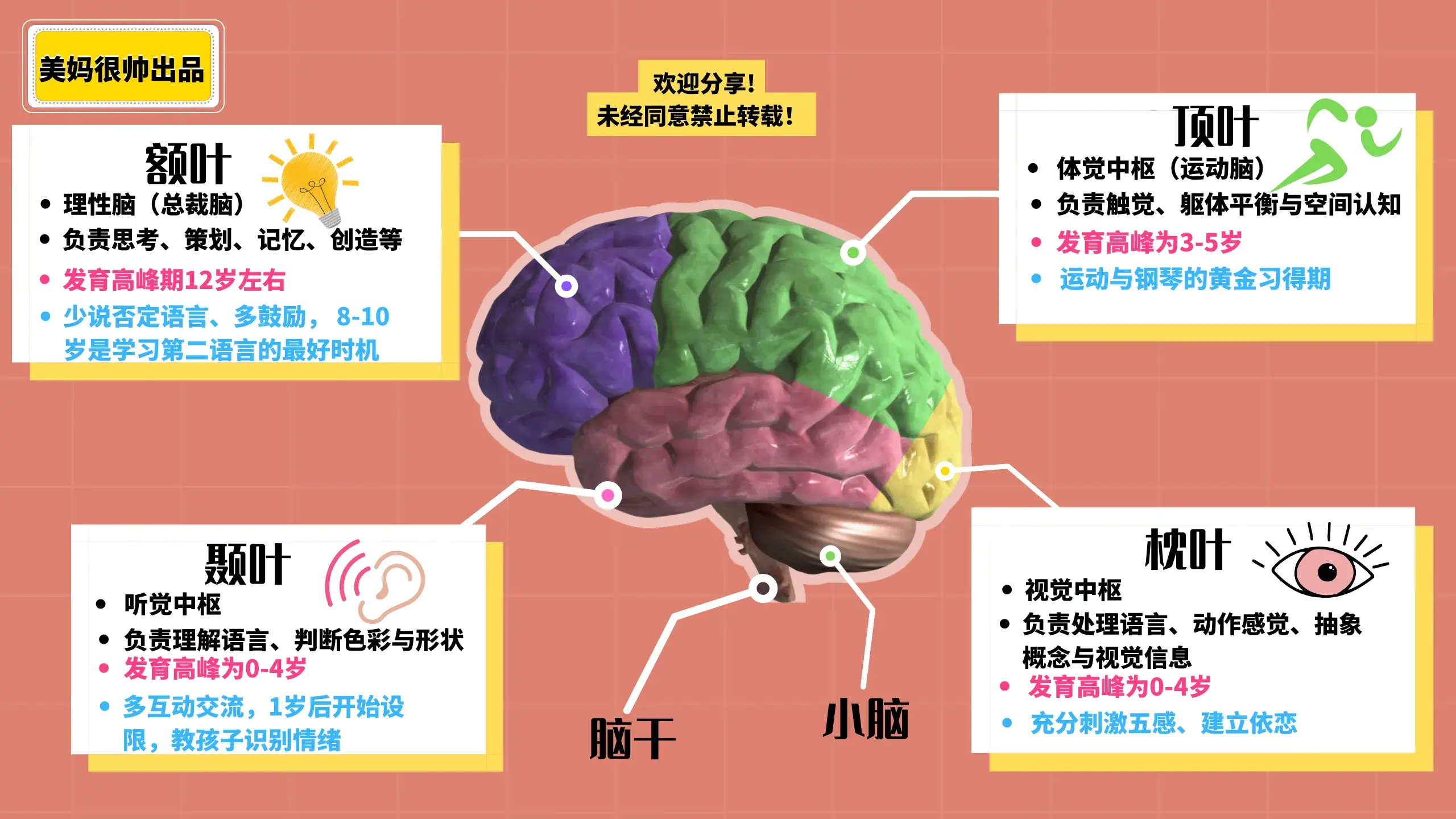莫扎特效应：听音乐真的能变聪明吗？