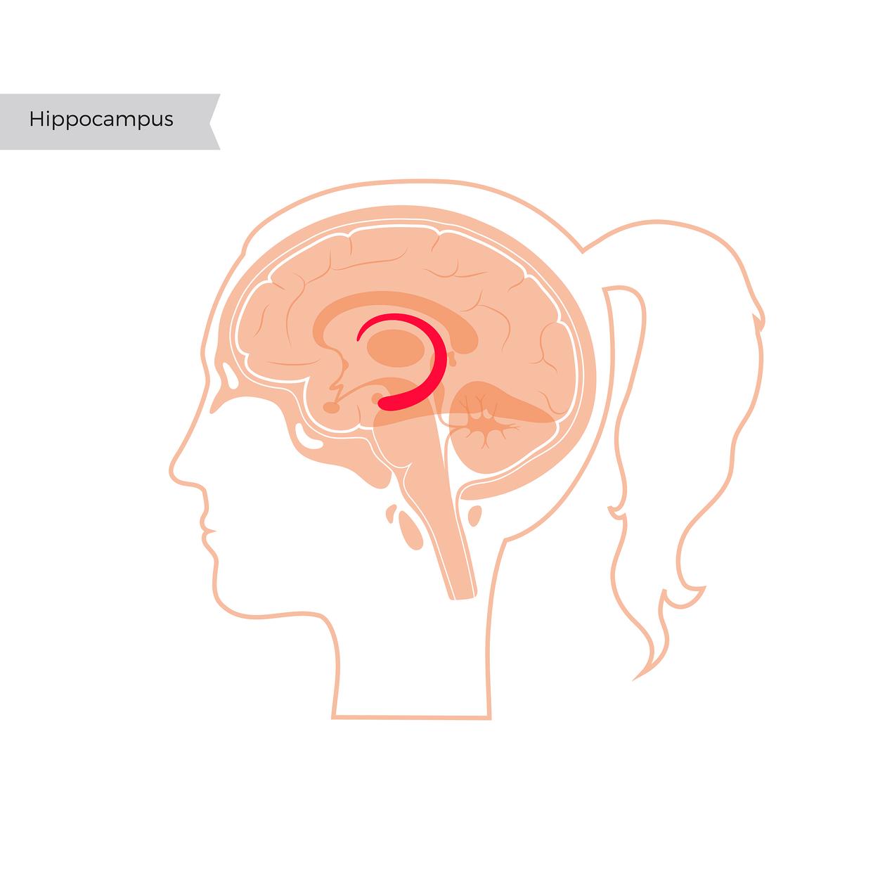 何为音乐的“通感”？