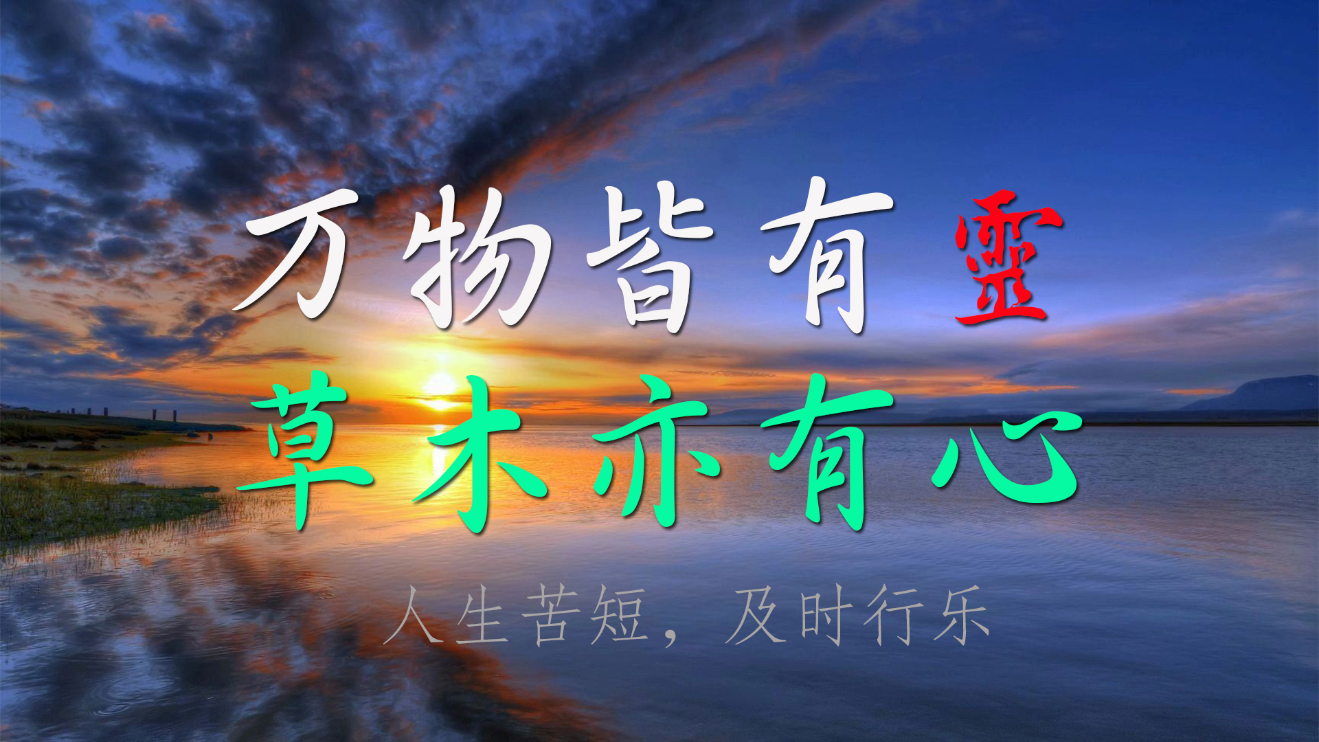 万物皆有灵，草木亦有心