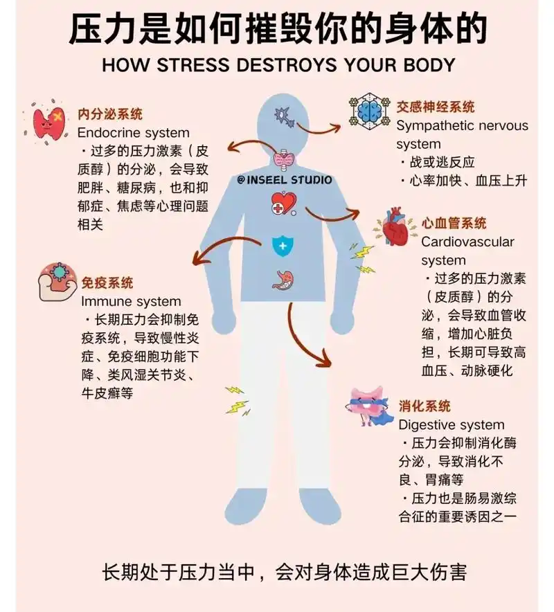 心理压力如何加速你的衰老？