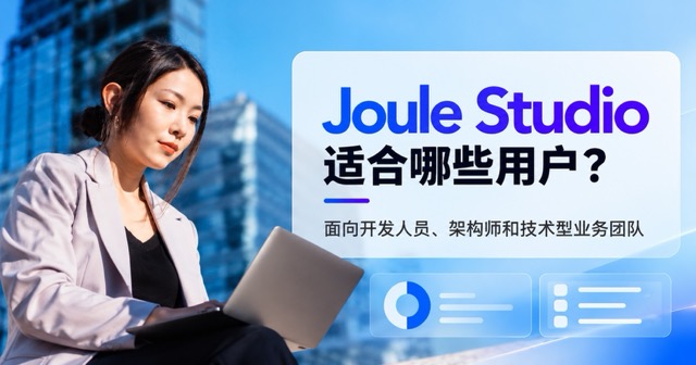 SAP Joule Studio适合哪些用户？