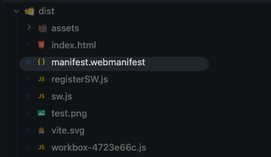 生成的 manifest.webmanifest