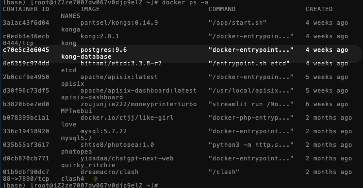 Docker 部署过 PostgreSQL