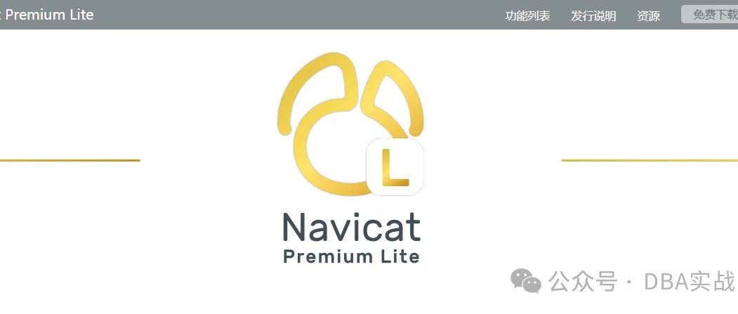 免费版Navicat Premium Lite 17最新发布