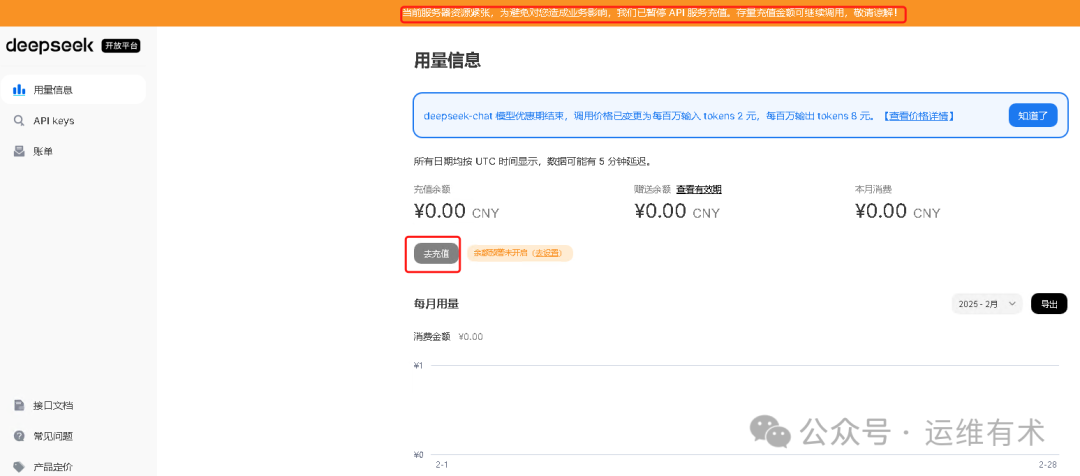 deepseek-usage-error