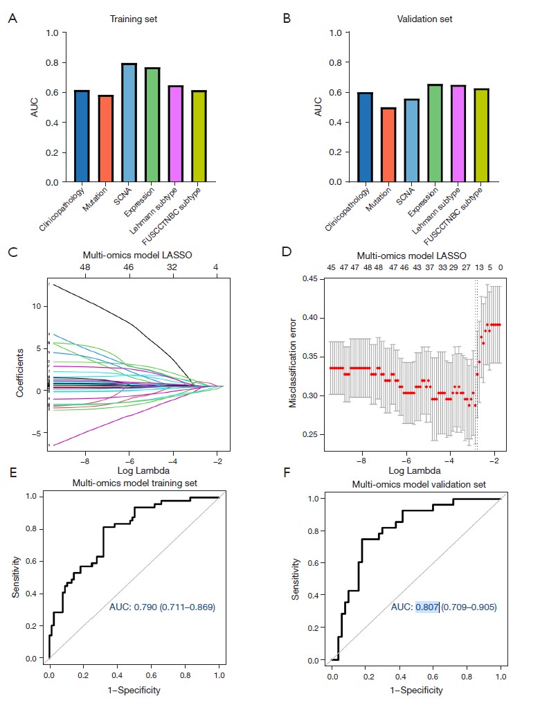 图7 四个单组学预测模型和一个多组学模型的性能。(A) 训练集中六个单组学模型预测LNM的AUC性能。(B) 验证集中六个单组学模型预测LNM的AUC。(C) 基于训练集的105个ALN状态相关标记的LASSO系数曲线。(D) 使用LASSO算法识别ALN状态相关标记,在训练集中选择25个最佳标记。(E) 使用AUC显示多组学模型在训练集中的性能,并添加95%置信区间。(F) 使用AUC显示多组学模型在验证集中的性能,并添加95%置信区间。