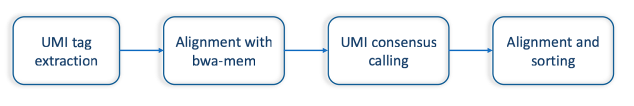 图1 Sentieon® UMI处理流程