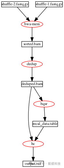 图1 DNAseq®流程的典型数据流程