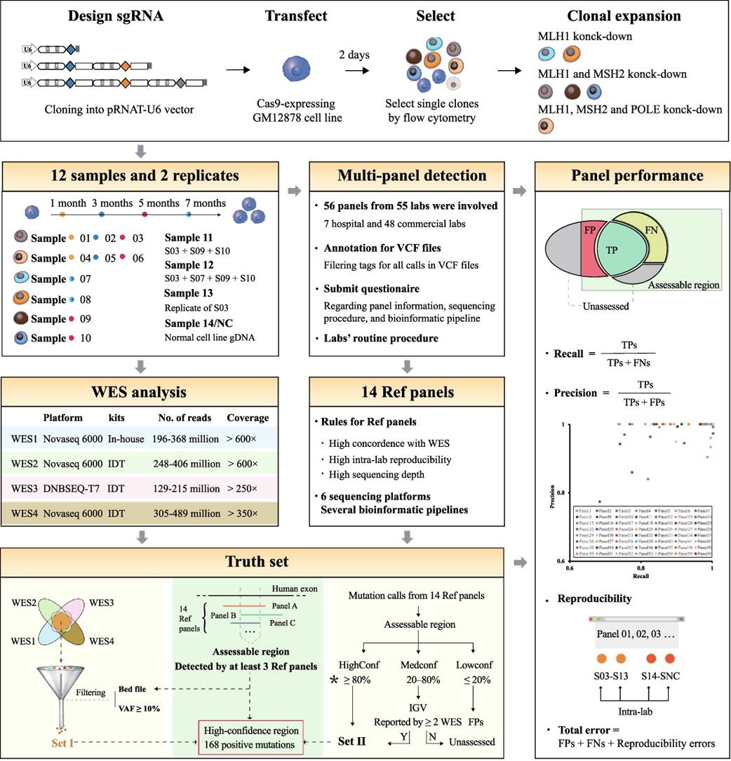 图3 用于评估多种靶向panel测序技术分析性能的研究设计