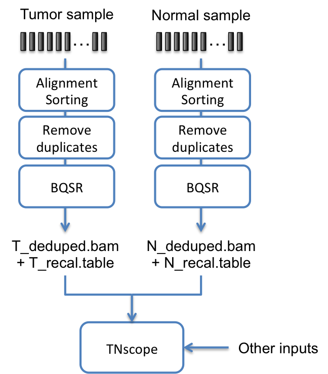 图3 Sentieon TNScope 工作流程