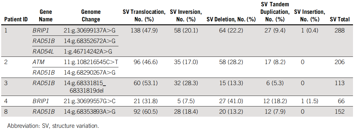 图3  携带HR-DDR基因变异的PDAC肿瘤中的结构变异（SV）统计