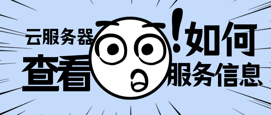 云服务器中如何查看服务器具体运行哪些服务