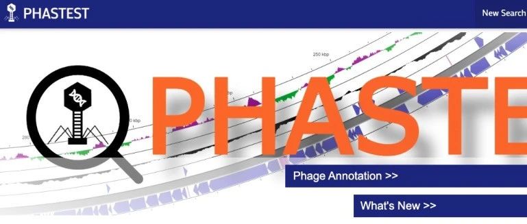 PHASTEST：噬菌体注释工具使用指南