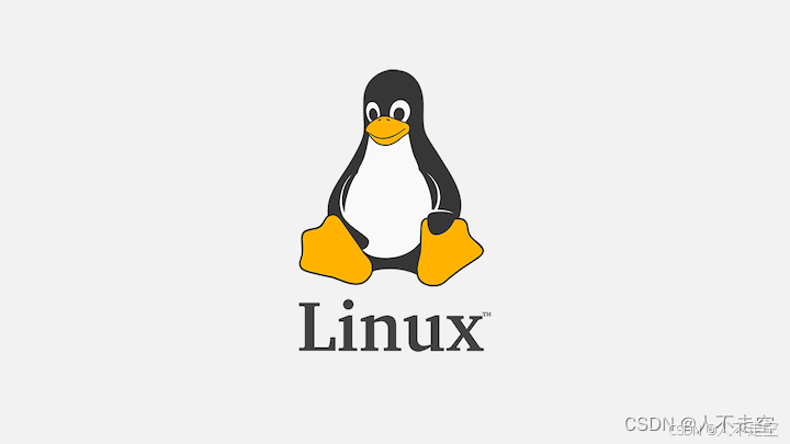 Linux 网络命令全解析：全面掌控你的网络配置与调试