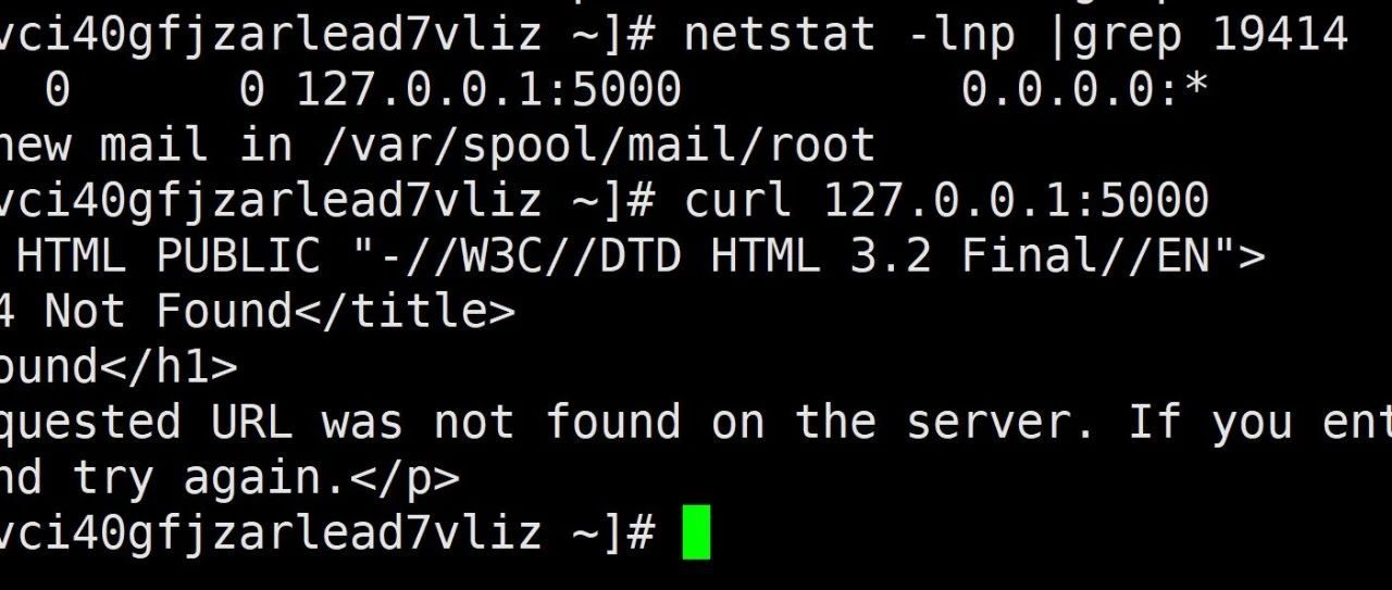 Linux系统-僵尸&孤儿进程