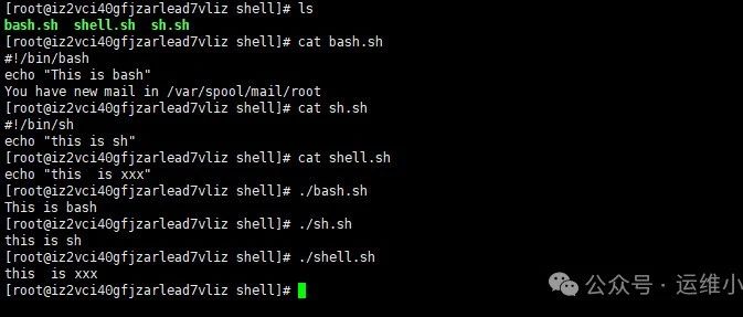 Shell编程-什么是shell