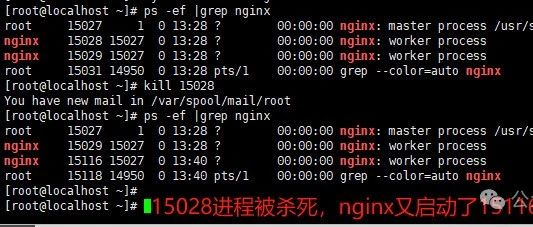 Linux进阶命令-ps&kill