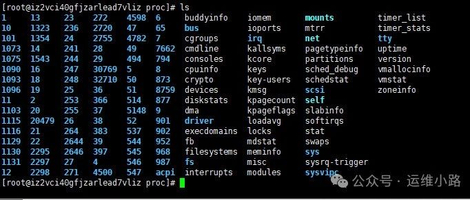 Linux内核-proc文件系统