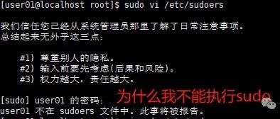 Linux用户-sudo命令