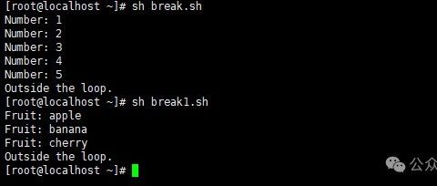 Shell编程-break