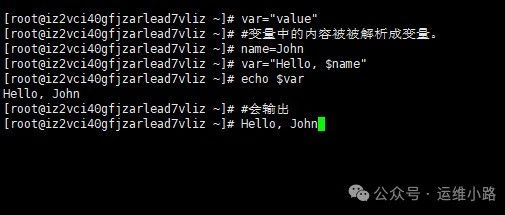 Shell编程-数据类型