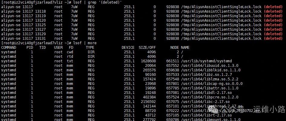 Linux进阶命令-lsof