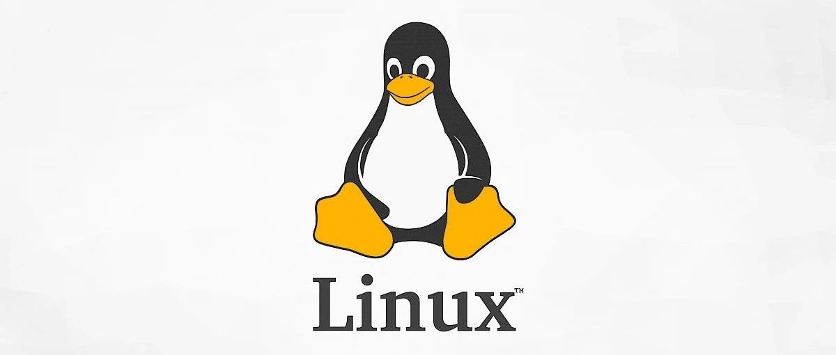 全志H3 | 移植主线最新uboot 2023.04和kernel 6.1.11到Nanopi NEO开发板
