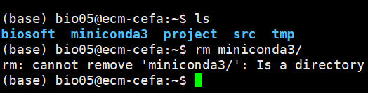 证明miniconda是个文件！！