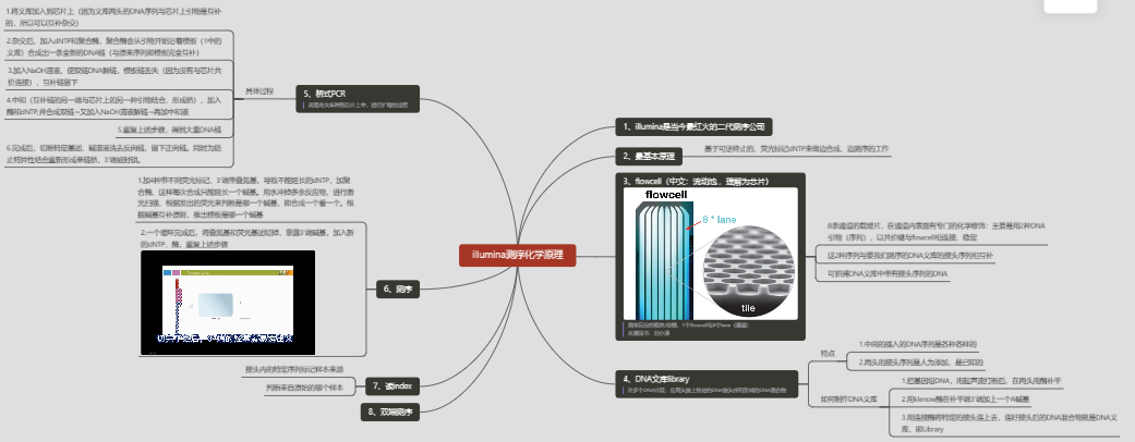 主要总结的是B站陈巍学基因视频1，字很小，想看可以复制链接打开https://www.mubu.com/doc/7l2N3CRML5k