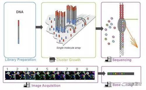 图片来源于微信公众号生信星球