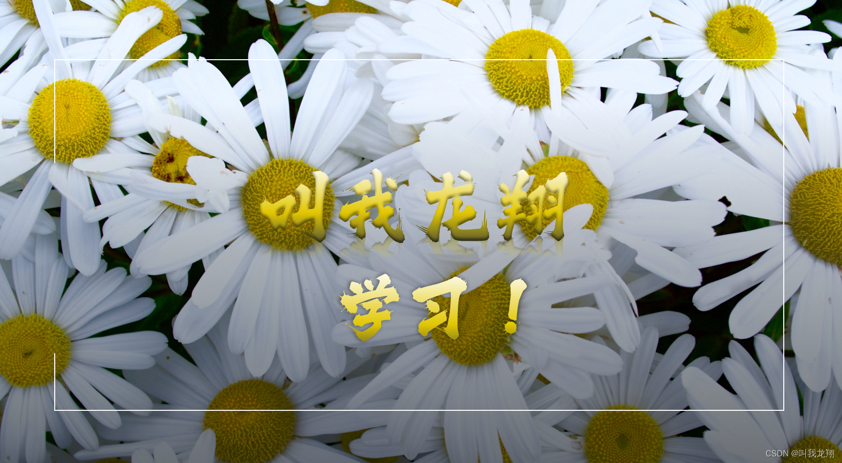【C++】拿下！ C++中的内存管理