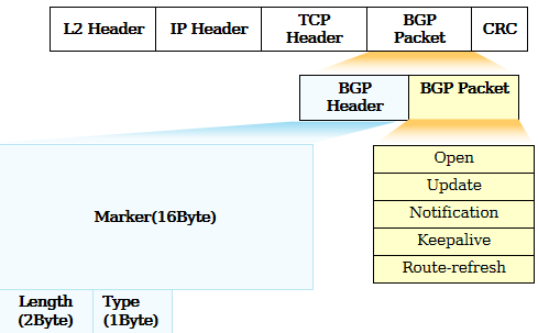 BGP报文格式