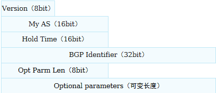 BGP_OPen报文格式
